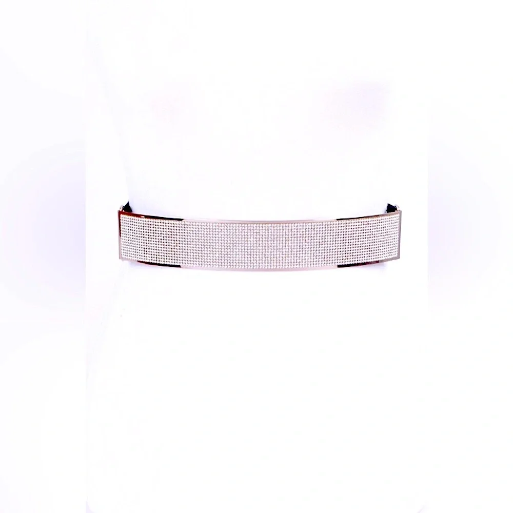 Rhinestone Metallic Plaque Elastic Statement Belt - Picture 1 of 7